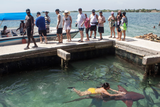 Pasadía Perfecto: Múcura y Santa Cruz en Bus y Lancha